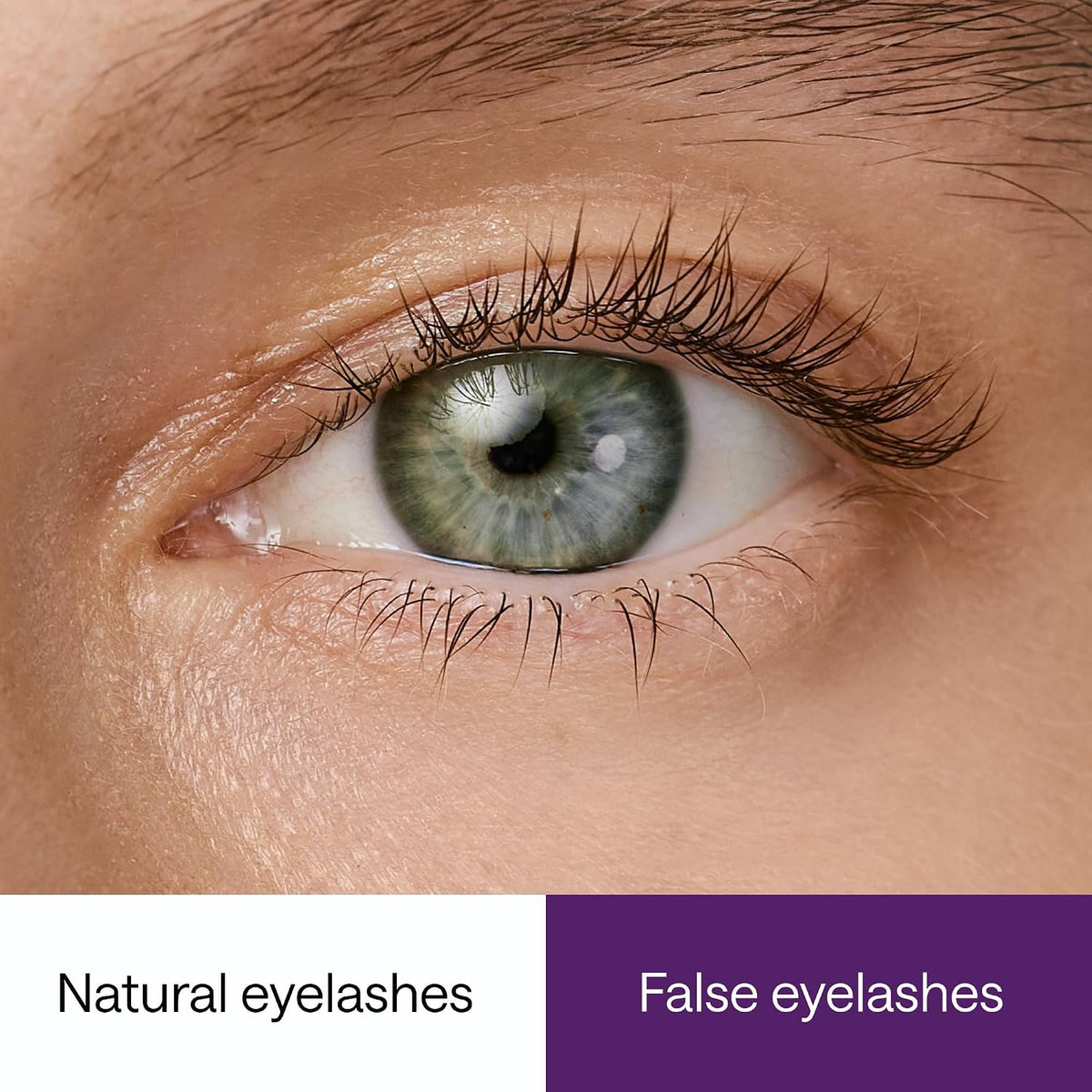 Close-up of an eye with natural and false eyelashes comparison